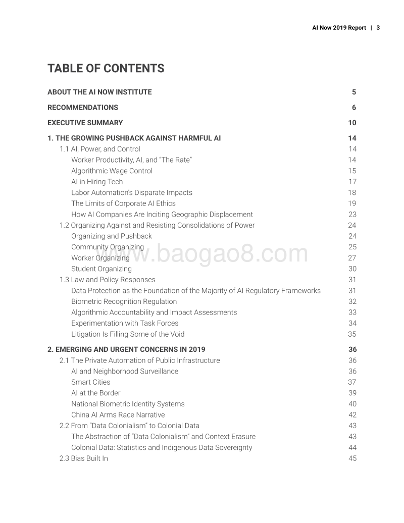 AI_Now_2019_Report.pdf_第3页