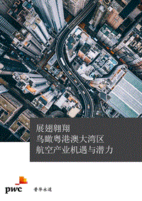 展翅翱翔：鸟瞰粤港澳大湾区：航空产业机遇与潜力.pdf