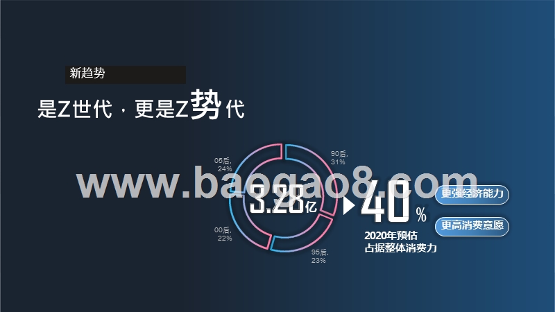 2020-2021品牌营销手册.pptx_第3页