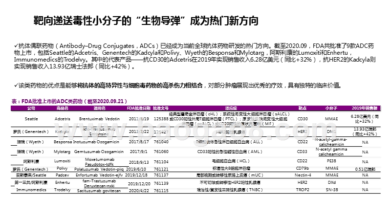 2020-2021抗体偶联药物（ADC）投资研究分析报告.pptx_第4页
