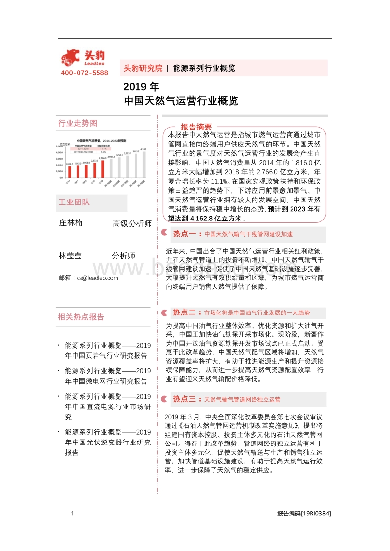 2019年中国天然气运营行业概览.pdf_第1页