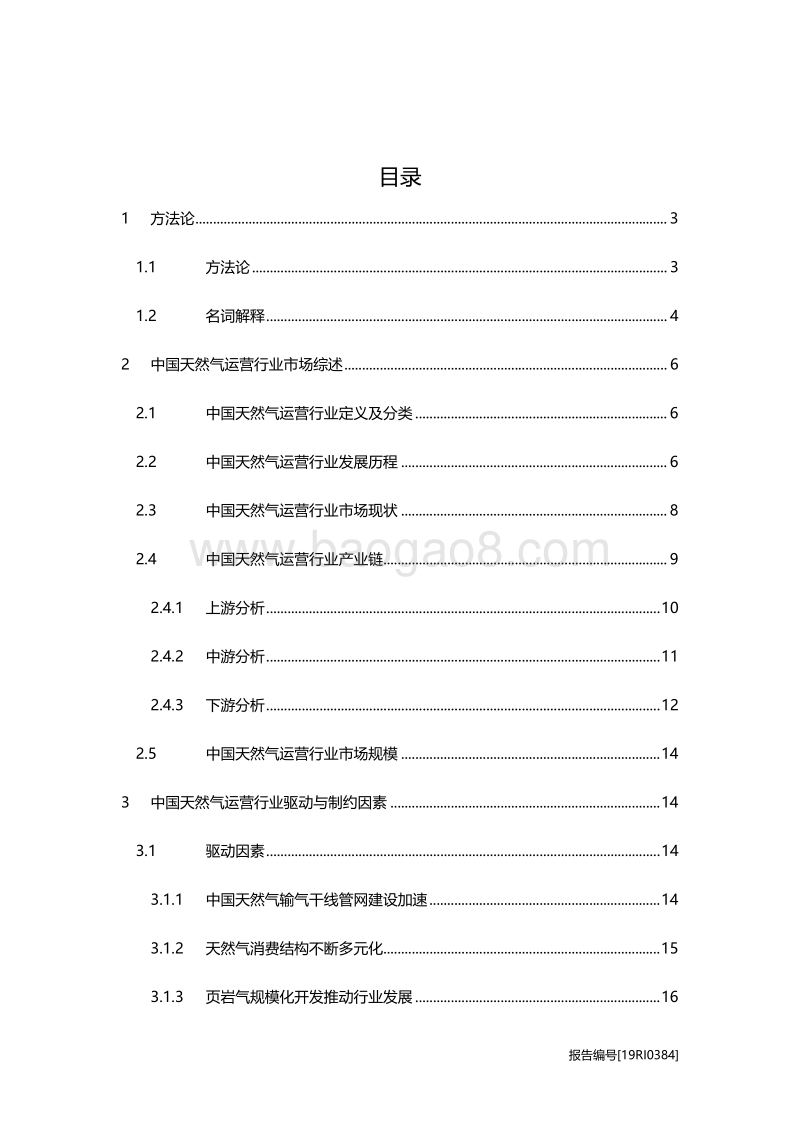 2019年中国天然气运营行业概览.pdf_第2页