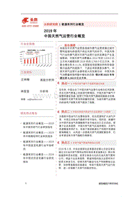2019年中国天然气运营行业概览.pdf