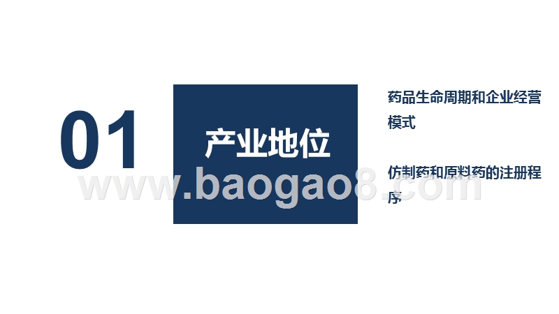 2020-2021特色原料药行业投资框架分析报告.pptx_第4页