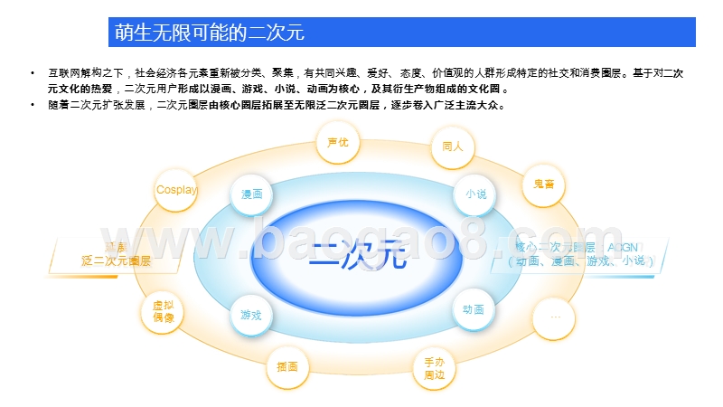 2020-2021腾讯二次元营销通案.pptx_第4页