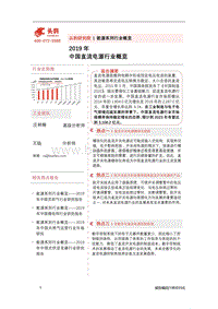 2019年中国直流电源行业概览.pdf
