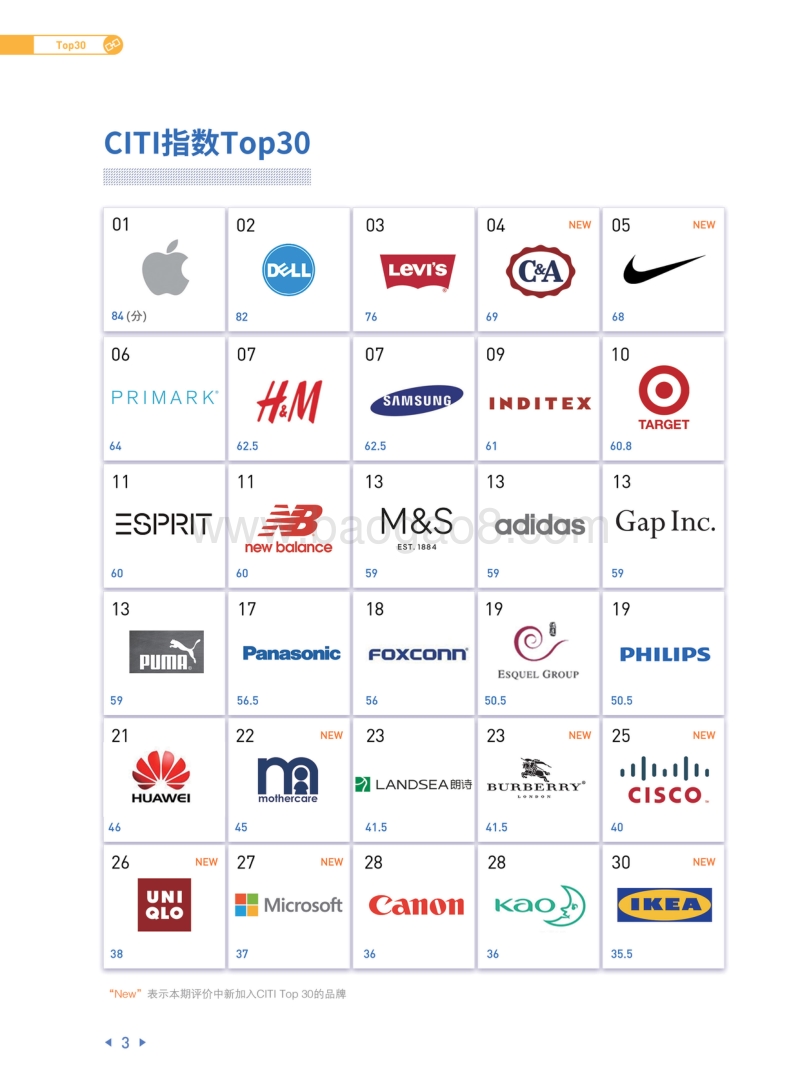 绿色供应链：CITI指数2018年度评价报告摘要.pdf_第4页