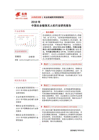 2019年中国农业植保无人机行业研究报告.pdf