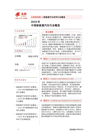 2019年中国新能源汽车行业概览.pdf
