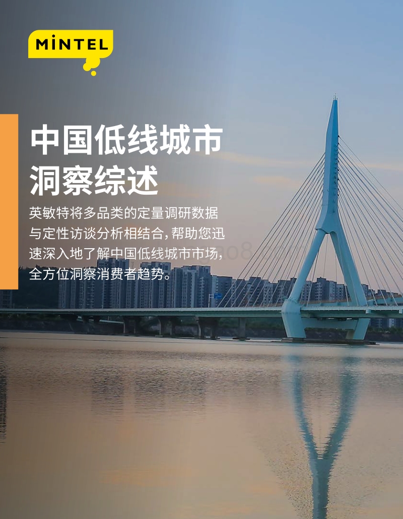 中国低线城市洞察综述.pdf_第1页