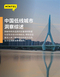 中国低线城市洞察综述.pdf