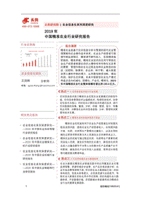 2019年中国精准农业行业研究报告.pdf