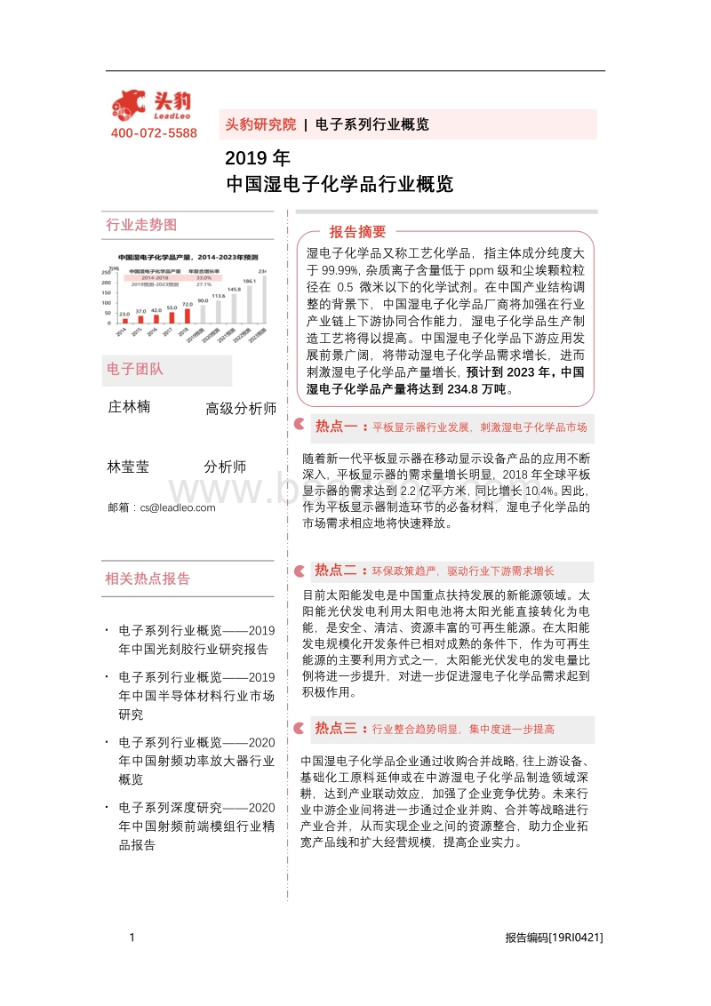 2019年中国湿电子化学品行业概览.pdf_第1页