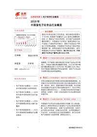 2019年中国湿电子化学品行业概览.pdf