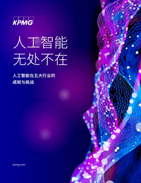 人工智能无处不在：人工智能在五大行业的成就与挑战.pdf