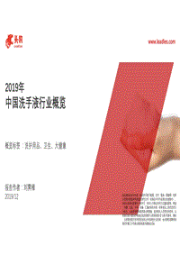 2019年中国洗手液行业概览.pdf
