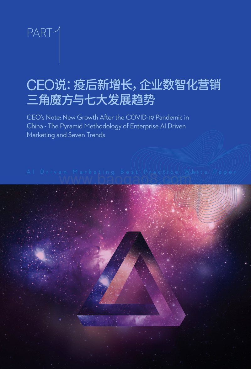 2020数智化营销案例白皮书：疫情之后新增长，企业数智化转型之道.pdf_第5页