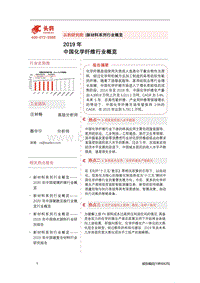 2019年中国化学纤维行业概览.pdf