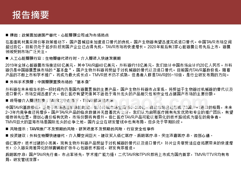 2020-2021人工心脏瓣膜替代与发展研究报告.pptx_第3页
