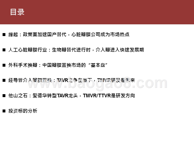 2020-2021人工心脏瓣膜替代与发展研究报告.pptx_第4页