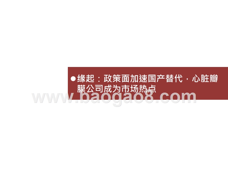 2020-2021人工心脏瓣膜替代与发展研究报告.pptx_第5页