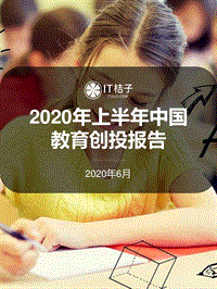 2020年上半年中国教育创投报告.pdf