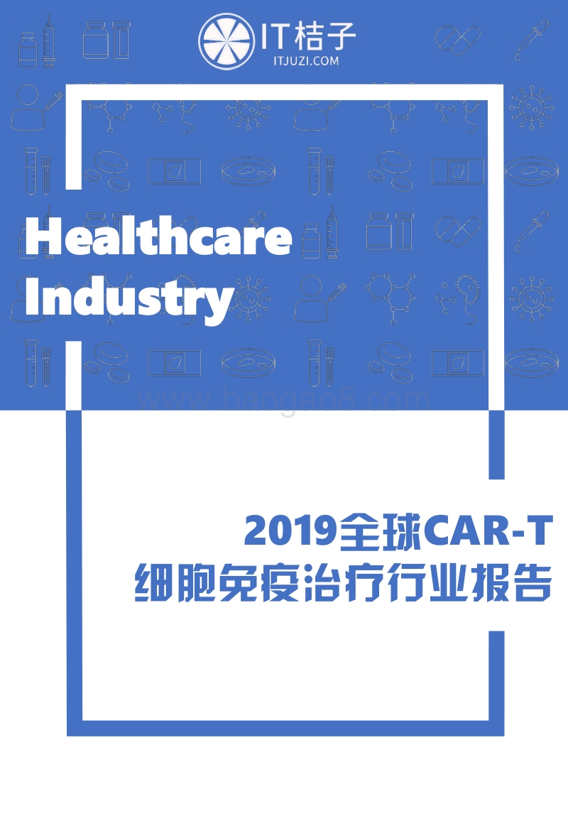 2019全球CAR-T细胞免疫治疗行业报告.pdf_第1页