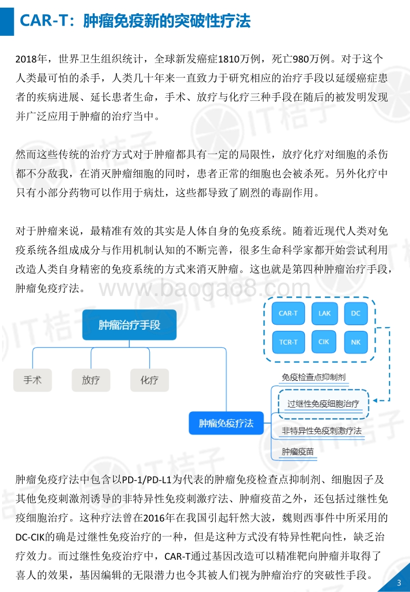 2019全球CAR-T细胞免疫治疗行业报告.pdf_第4页