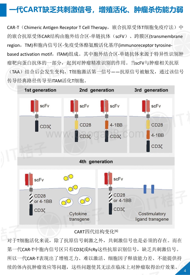 2019全球CAR-T细胞免疫治疗行业报告.pdf_第5页