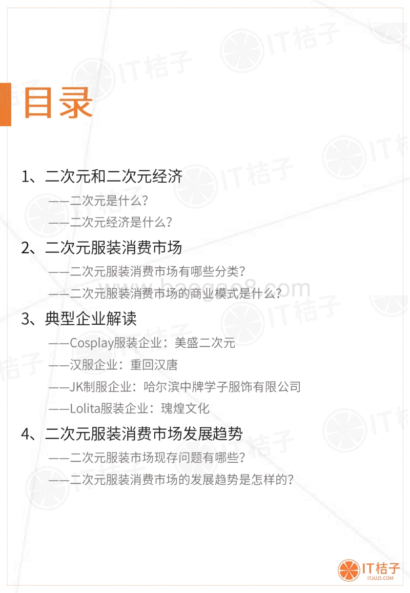 2019-2020中国二次元服装消费市场分析报告.pdf_第2页