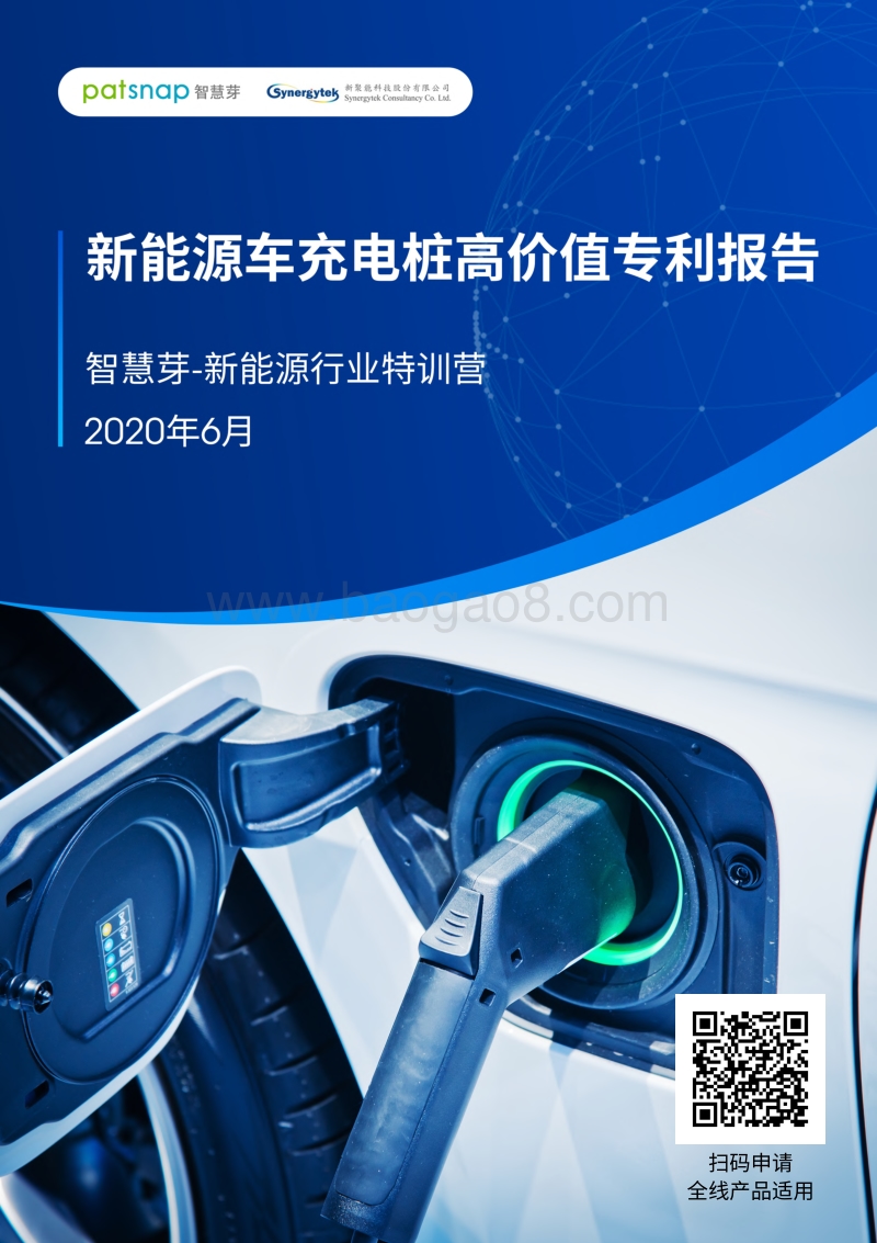 新能源车充电桩高价值专利报告.pdf_第1页