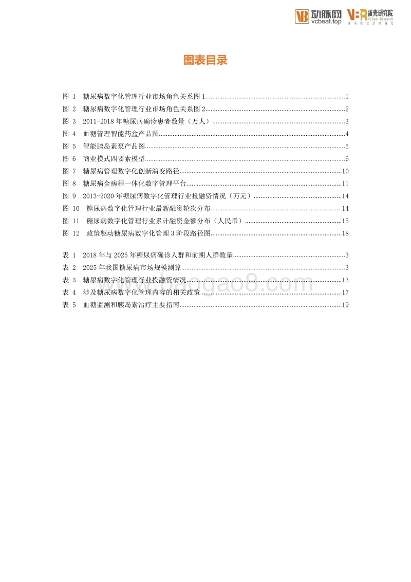糖尿病管理数字化创新报告.pdf_第5页