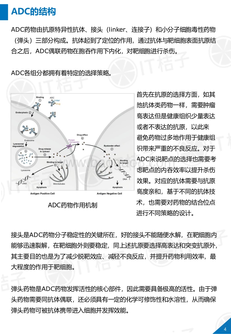 2020年全球ADC抗体偶联药物行业浅析.pdf_第5页