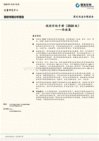 2020版城投非标手册：西南篇.pdf