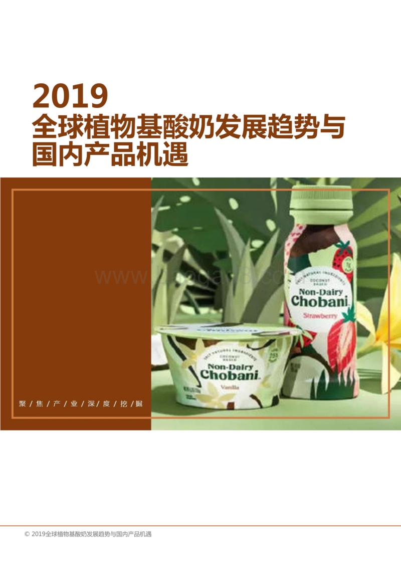 2019全球植物基酸奶发展趋势与国内产品机遇.pdf_第1页