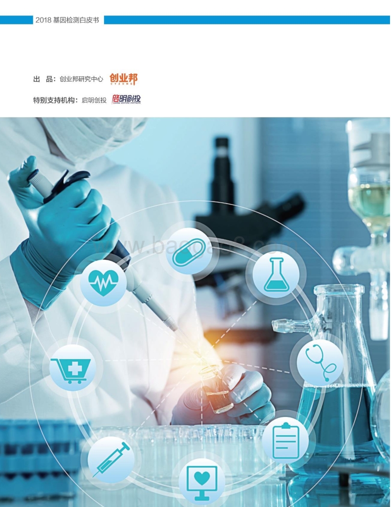 2018基因检测白皮书.pdf_第2页