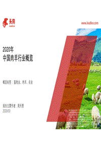 2020年中国肉羊行业概览.pdf