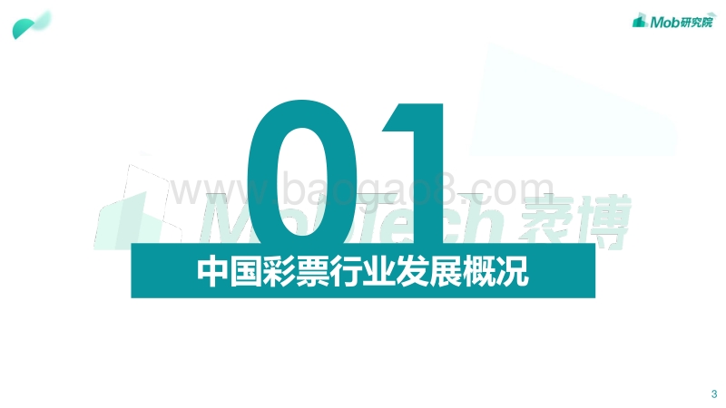 2020年中国彩票行业深度洞察.pdf_第3页