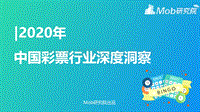 2020年中国彩票行业深度洞察.pdf