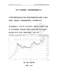 IGBT产业链梳理，大摩热捧的逻辑是什么？.pdf