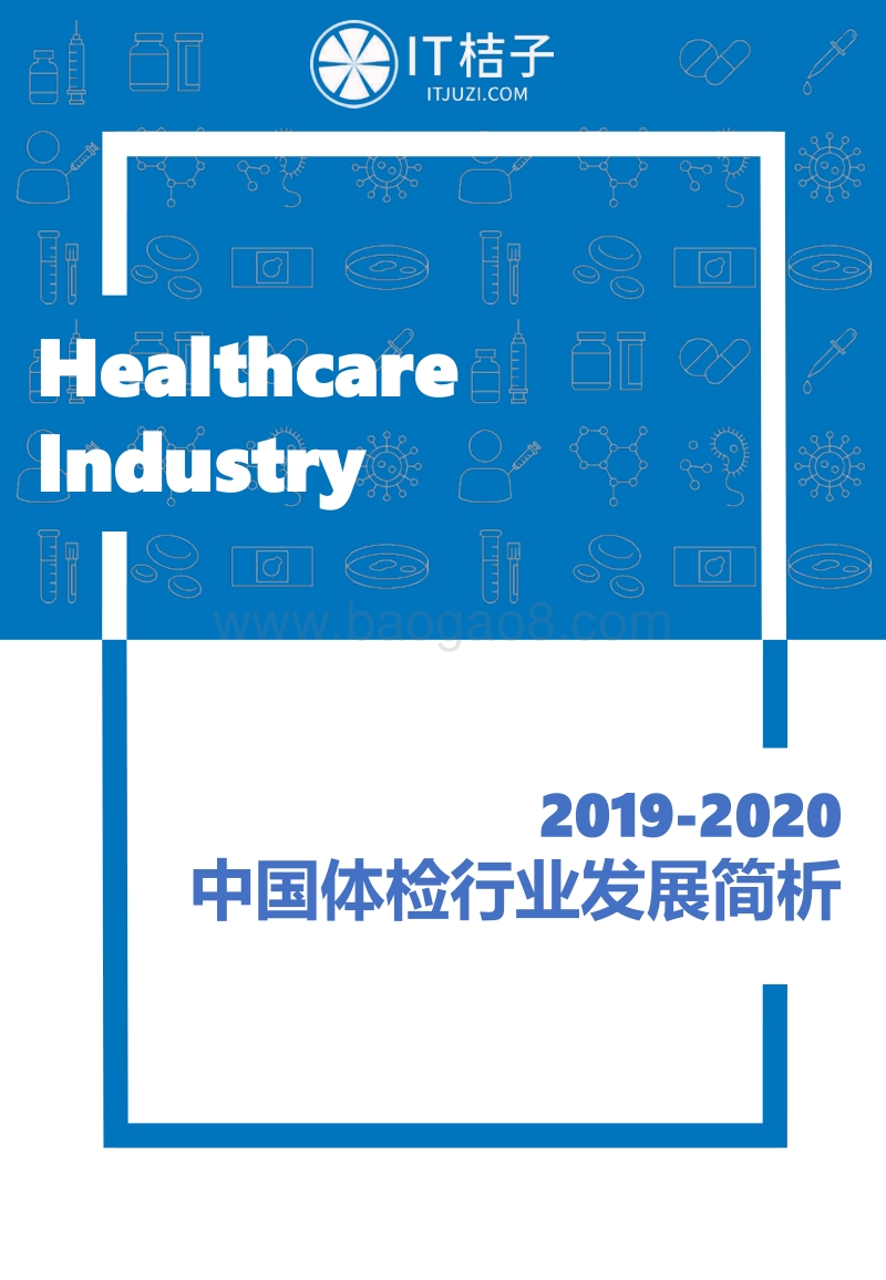 2019-2020中国体检行业发展简析.pdf_第1页
