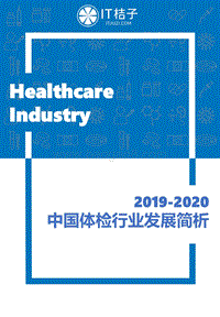 2019-2020中国体检行业发展简析.pdf