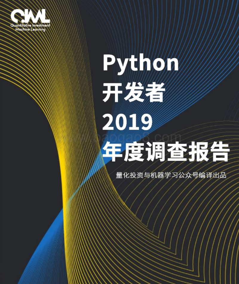 Python开发者2019年度调查报告.pdf_第1页