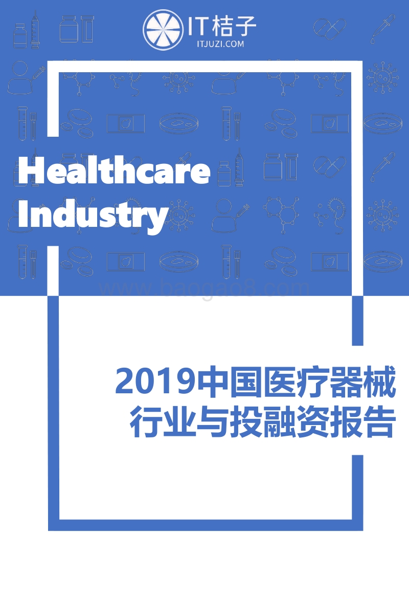 2019中国医疗器械行业与投融资报告.pdf_第1页