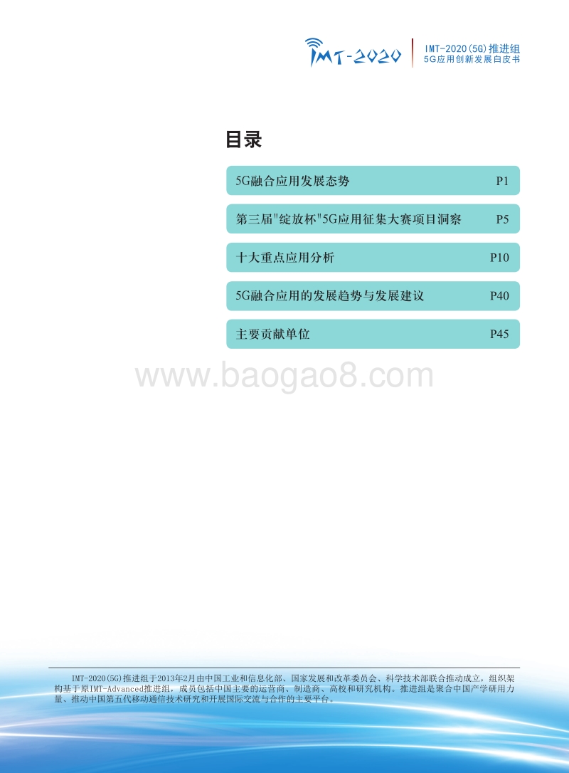20205G应用创新发展白皮书.pdf_第2页