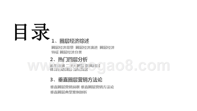 2020-2021垂直圈层营销报告.pptx_第2页