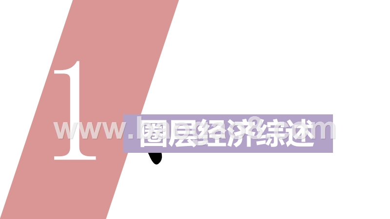 2020-2021垂直圈层营销报告.pptx_第3页