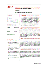 2019年中国碳纤维复合材料行业概览.pdf
