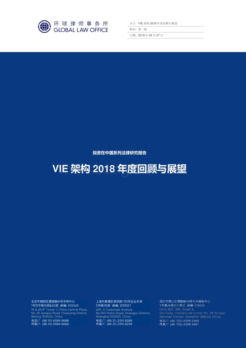 VIE架构2018年度回顾与展望.pdf_第1页
