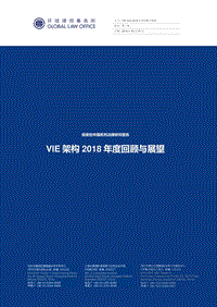 VIE架构2018年度回顾与展望.pdf